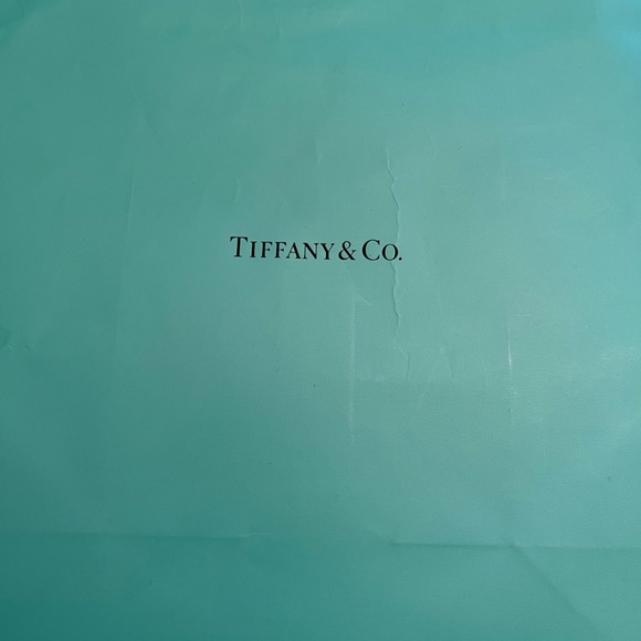 Tiffany & Co. Pouch With Box & Gift Bag - Picture 3 of 4